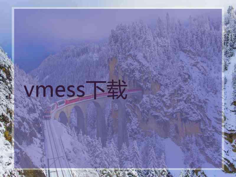 vmess下载