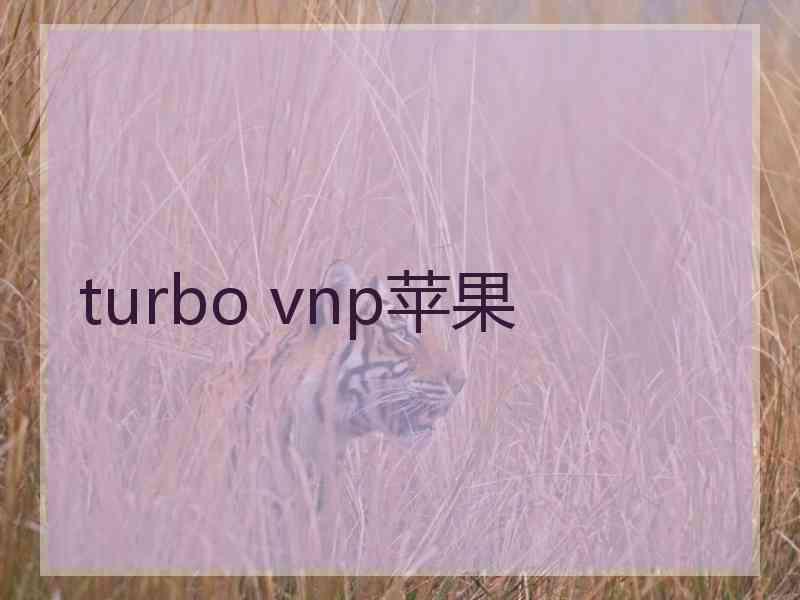 turbo vnp苹果