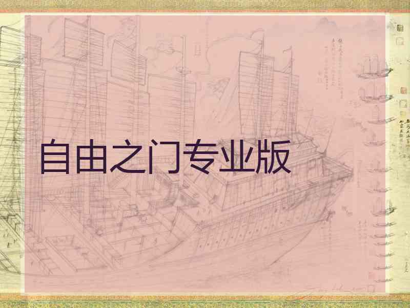 自由之门专业版
