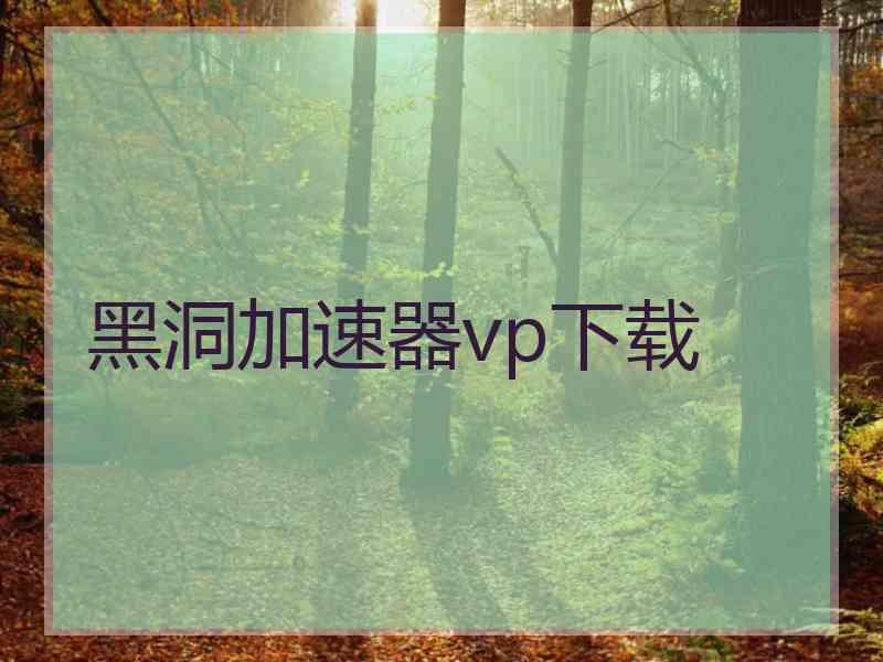 黑洞加速器vp下载