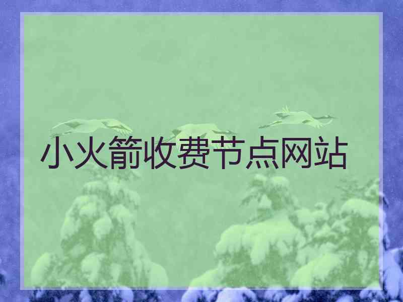 小火箭收费节点网站