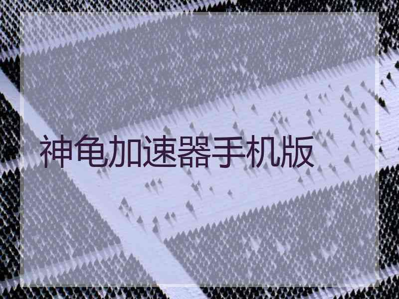 神龟加速器手机版