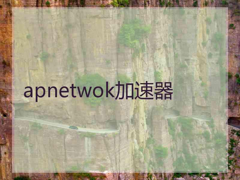 apnetwok加速器