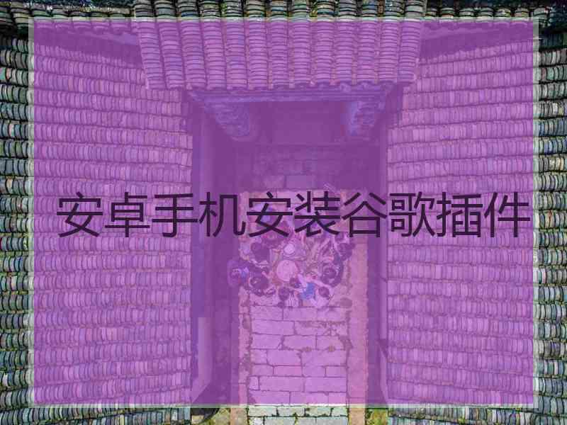 安卓手机安装谷歌插件