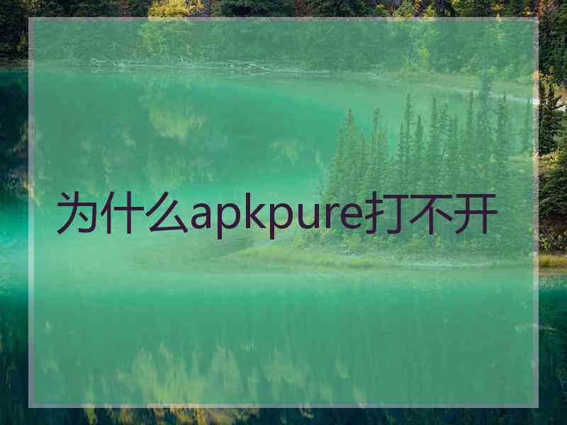 为什么apkpure打不开