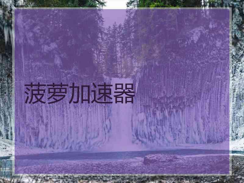 菠萝加速器