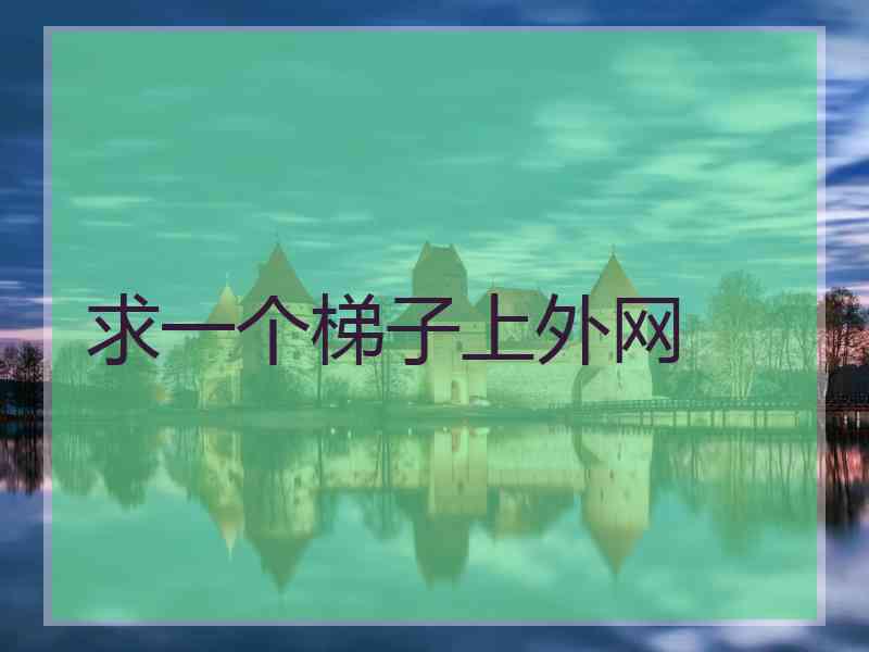 求一个梯子上外网