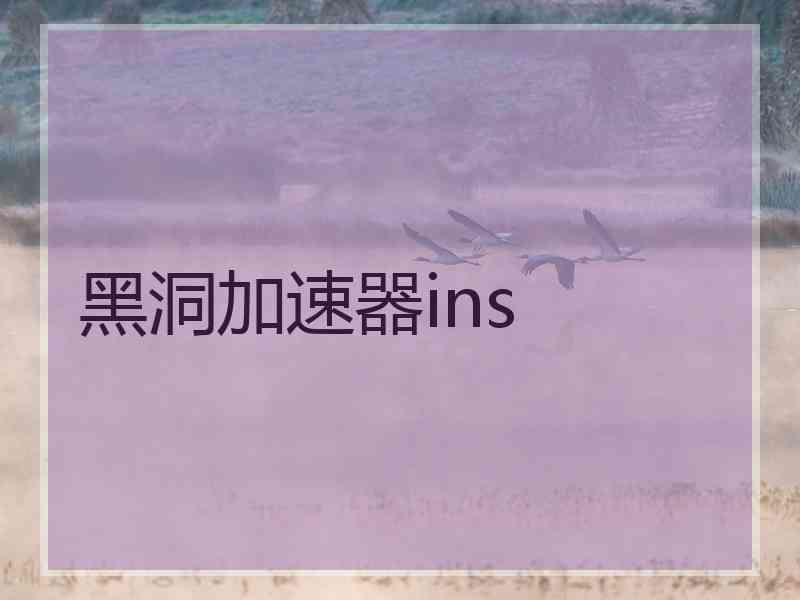 黑洞加速器ins