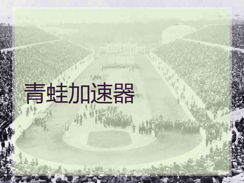 青蛙加速器