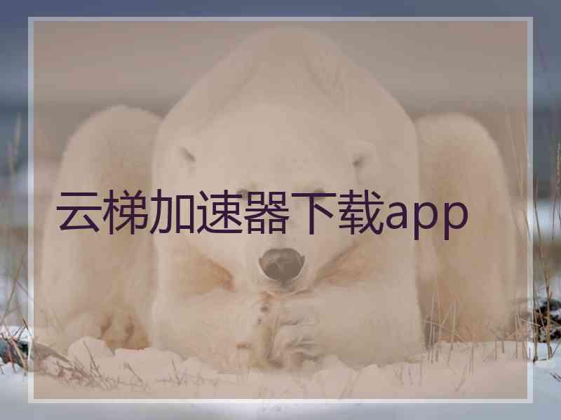 云梯加速器下载app