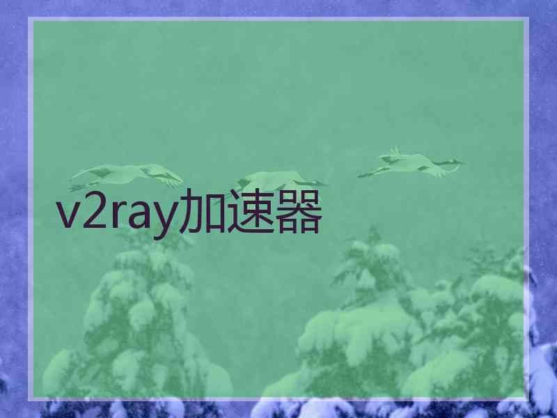 v2ray加速器