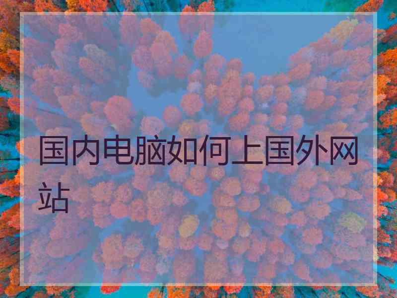 国内电脑如何上国外网站
