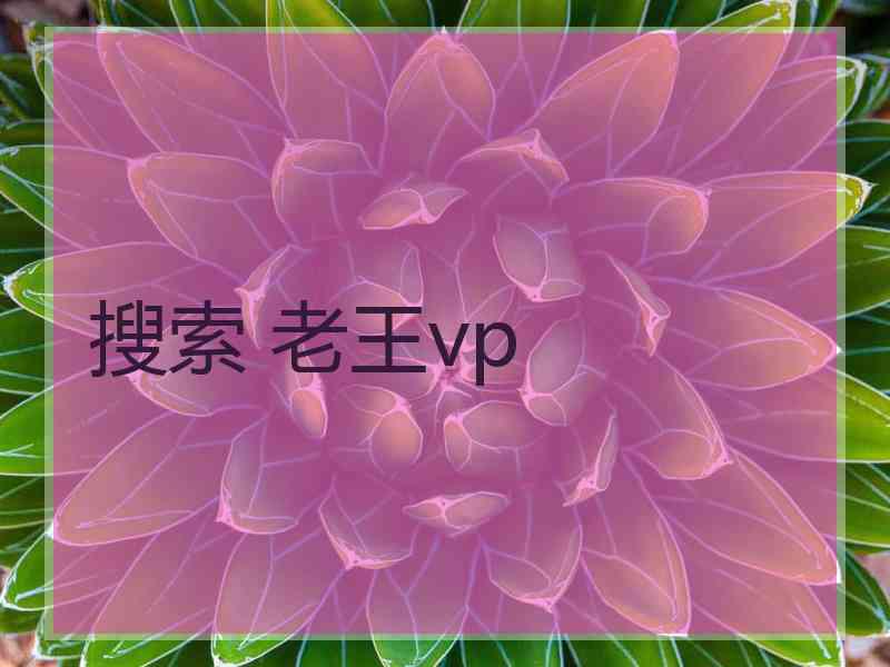 搜索 老王vp