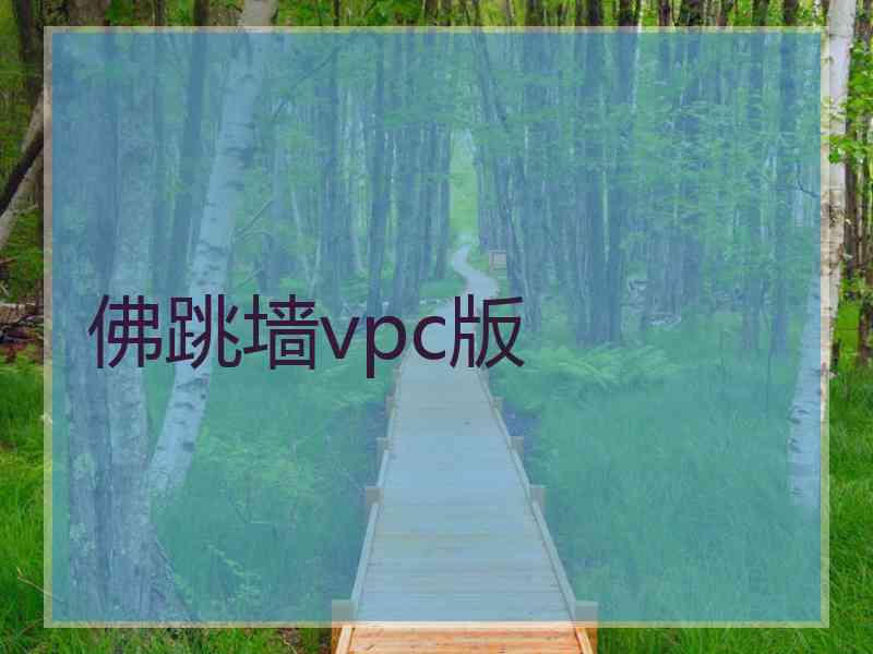 佛跳墙vpc版