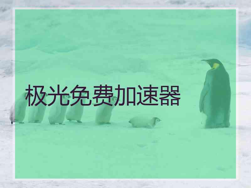 极光免费加速器