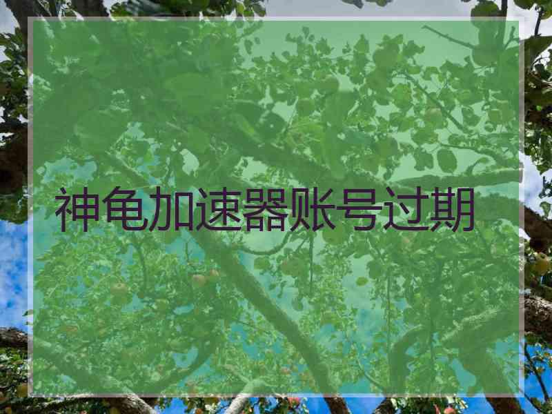 神龟加速器账号过期