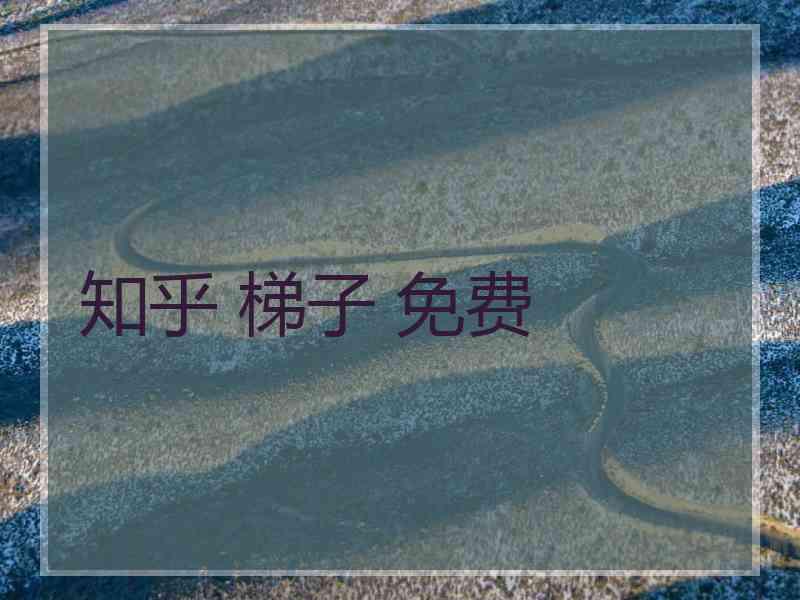 知乎 梯子 免费