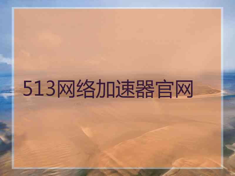 513网络加速器官网