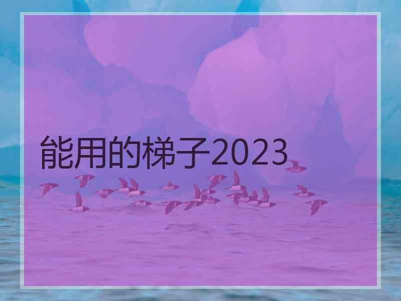 能用的梯子2023