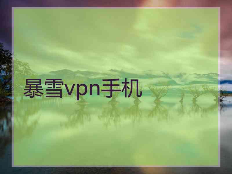 暴雪vpn手机