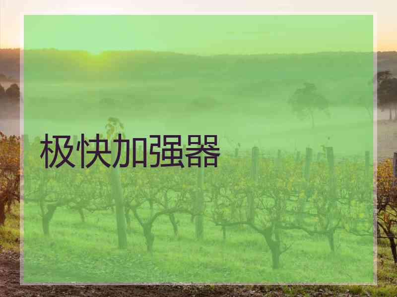 极快加强器