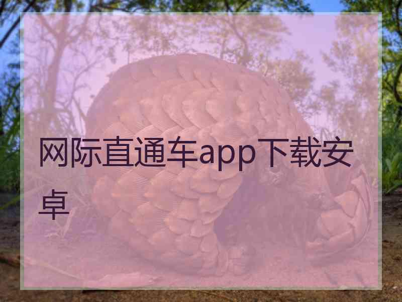 网际直通车app下载安卓
