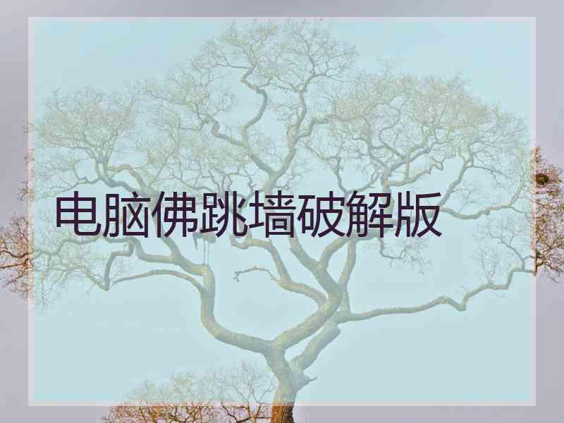 电脑佛跳墙破解版