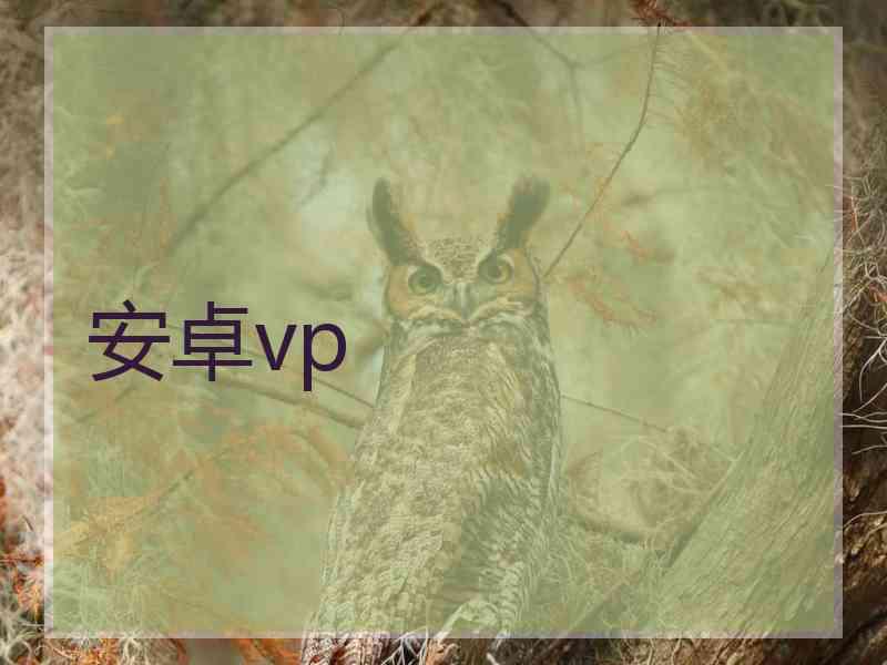 安卓vp