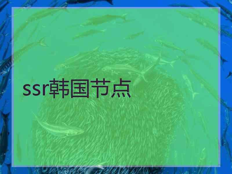ssr韩国节点