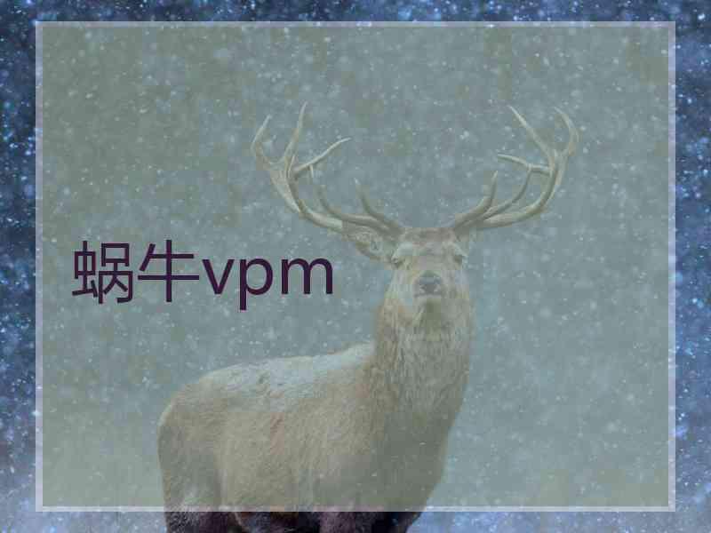 蜗牛vpm