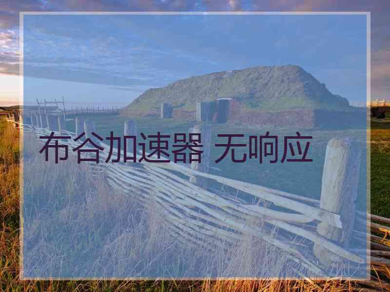 布谷加速器 无响应