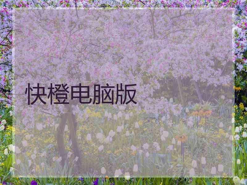 快橙电脑版