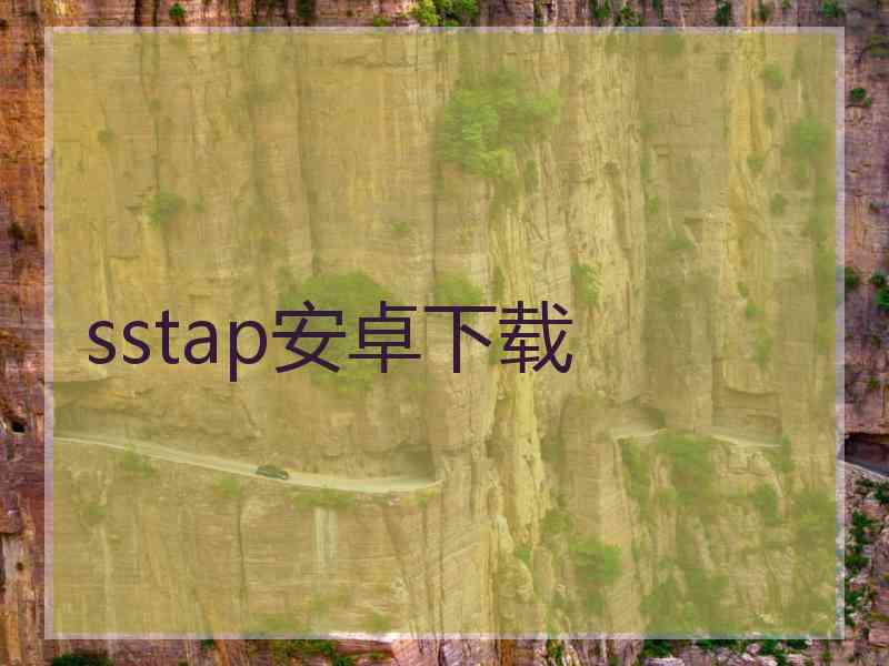 sstap安卓下载