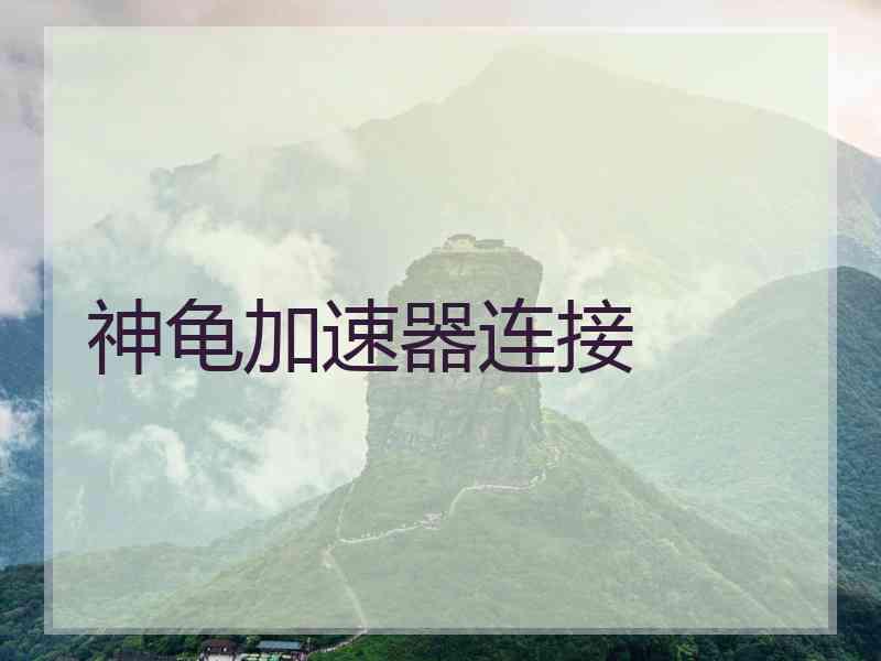 神龟加速器连接