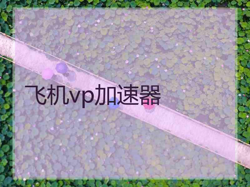 飞机vp加速器