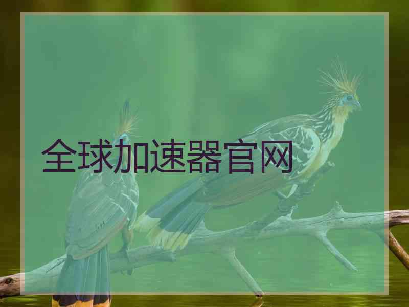 全球加速器官网