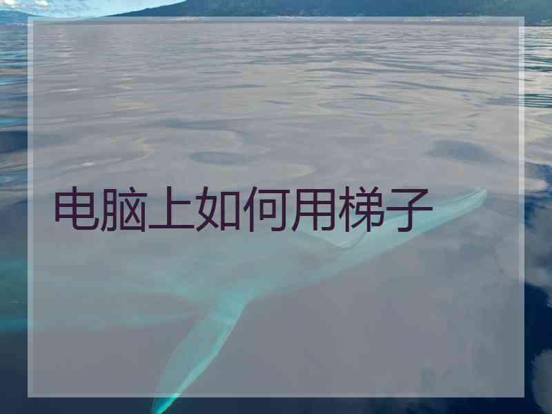 电脑上如何用梯子