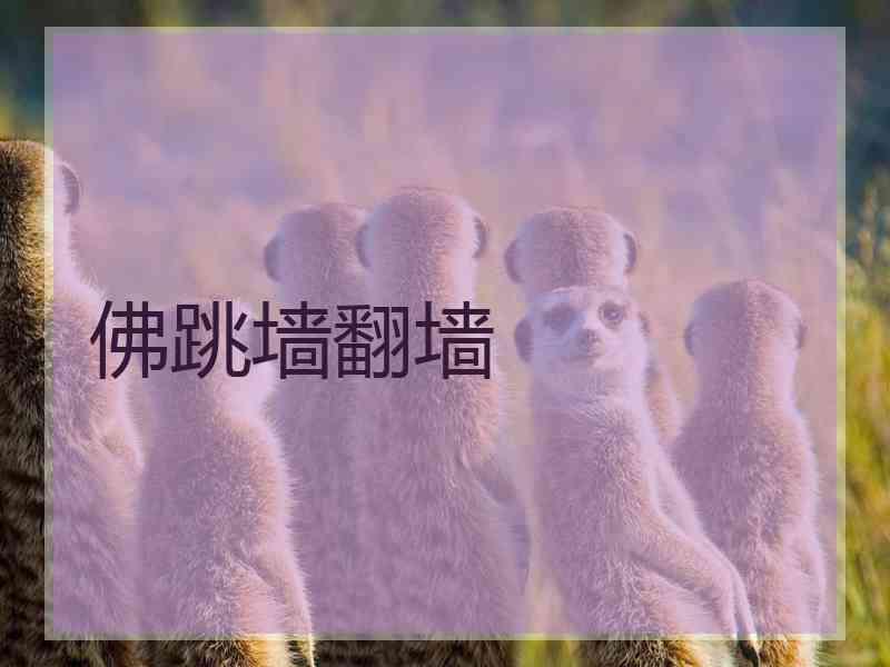 佛跳墙翻墙