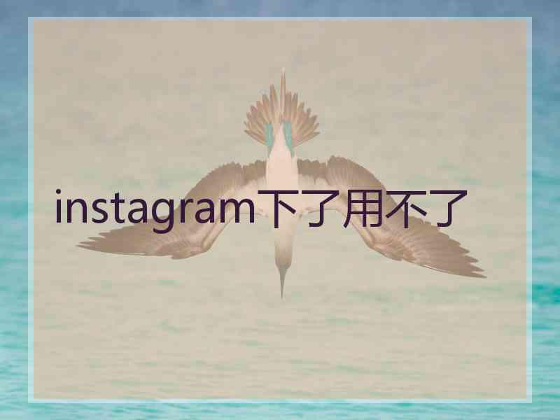 instagram下了用不了