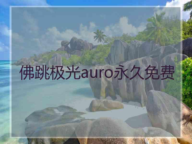 佛跳极光auro永久免费