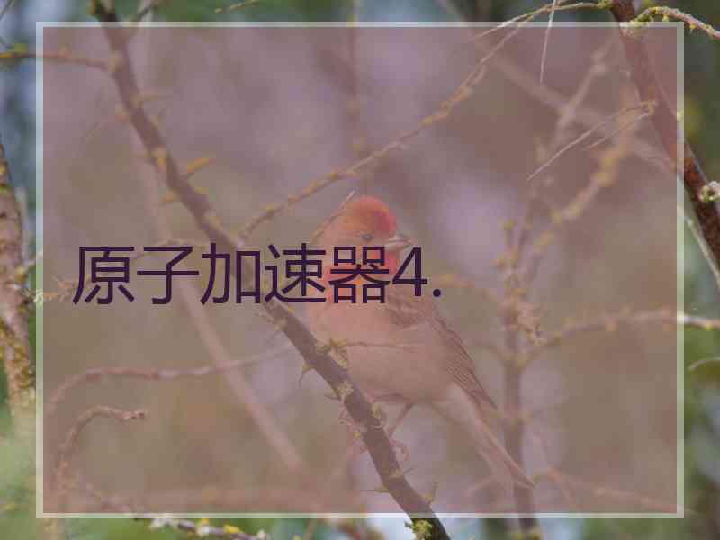 原子加速器4.