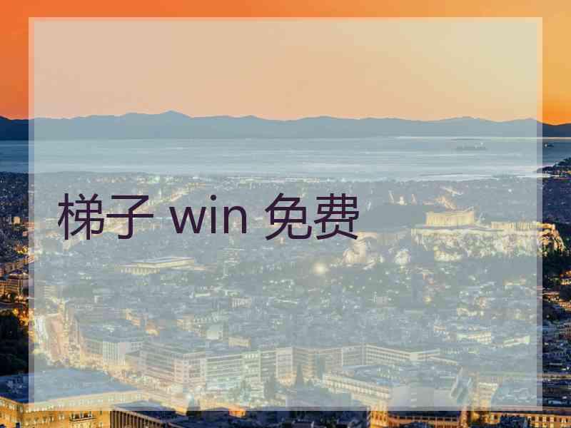 梯子 win 免费