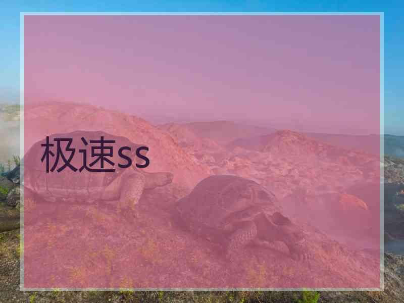 极速ss