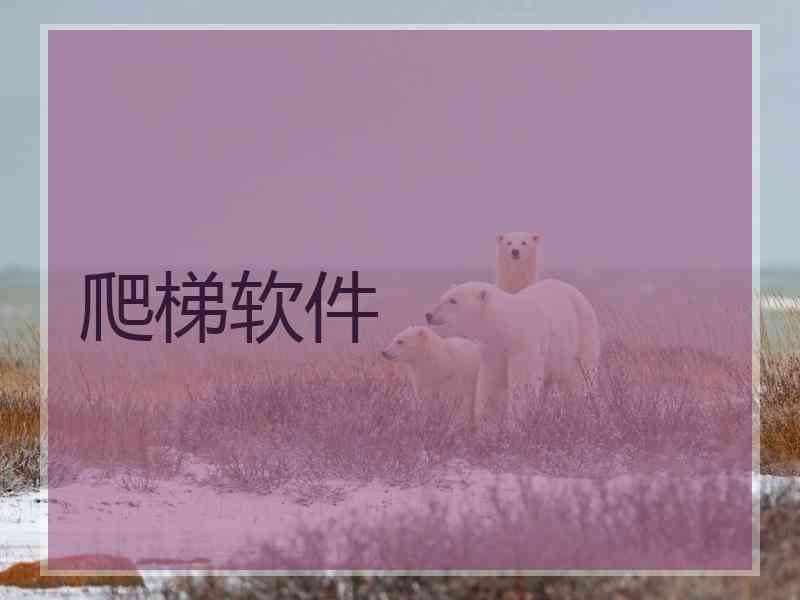 爬梯软件