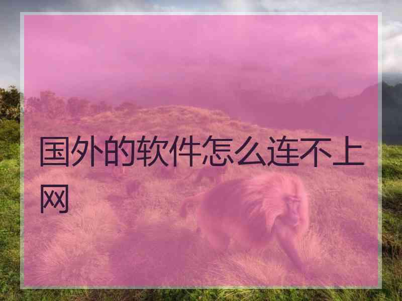 国外的软件怎么连不上网