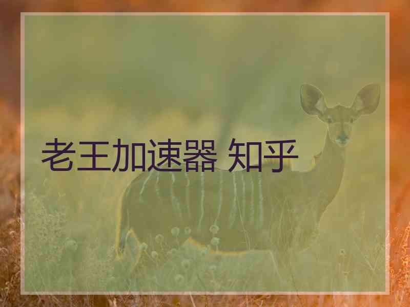 老王加速器 知乎