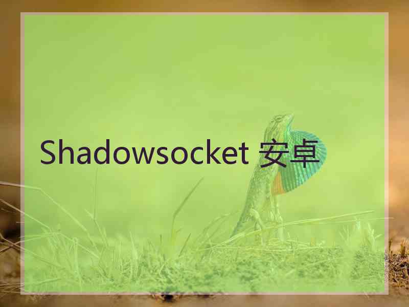 Shadowsocket 安卓