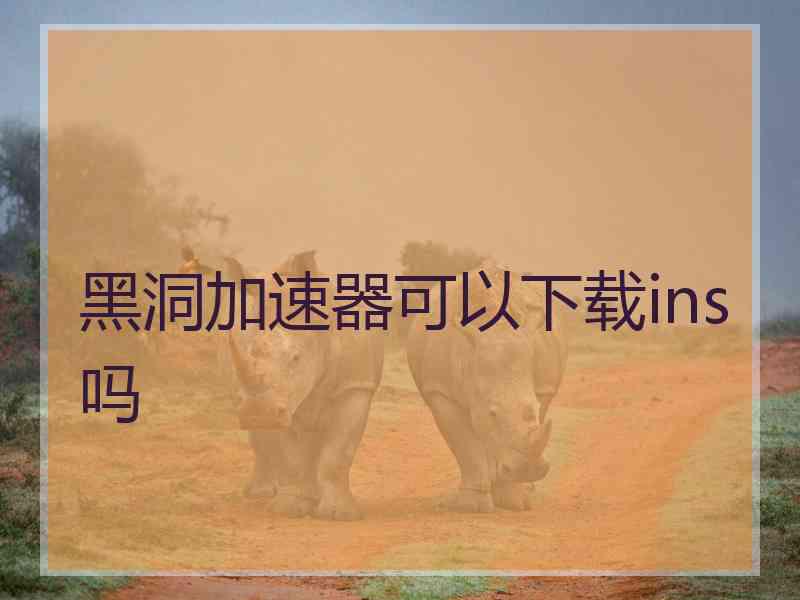 黑洞加速器可以下载ins吗