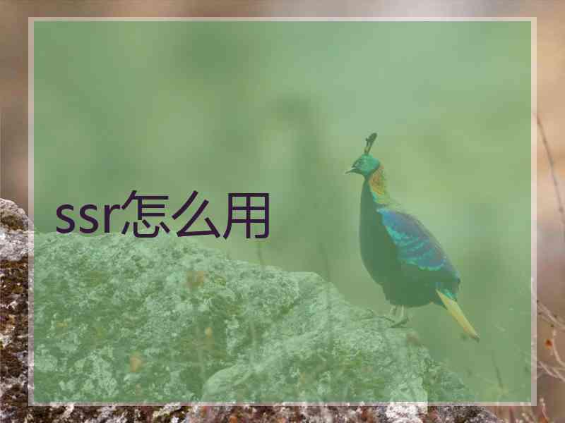 ssr怎么用