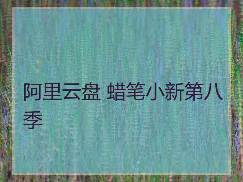 阿里云盘 蜡笔小新第八季